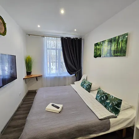 Apartment S11 Lime *